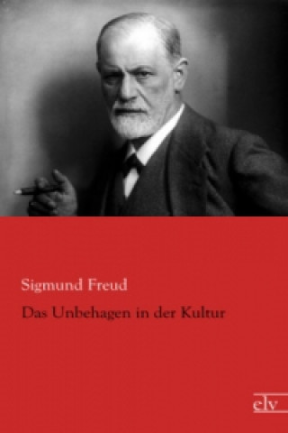 Könyv Das Unbehagen in der Kultur Sigmund Freud