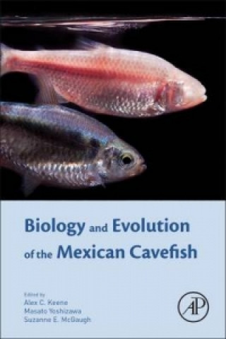 Książka Biology and Evolution of the Mexican Cavefish Alex Keene