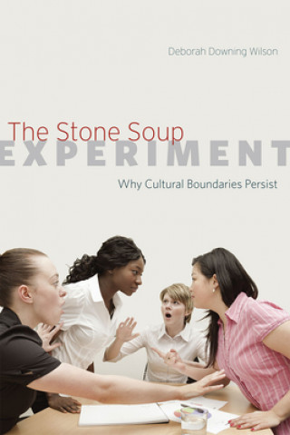 Knjiga Stone Soup Experiment Deborah Downing Wilson