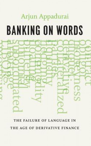 Buch Banking on Words Arjun Appadurai