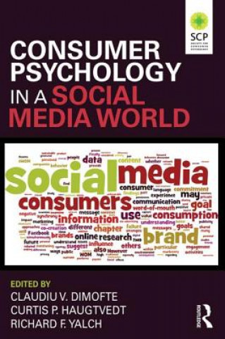 Buch Consumer Psychology in a Social Media World Claudiu Dimofte