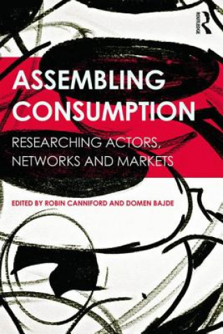 Boek Assembling Consumption Robin Canniford