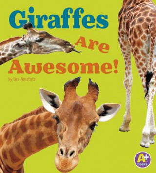 Könyv Awesome African Animals: Giraffes Lisa J Amstutz