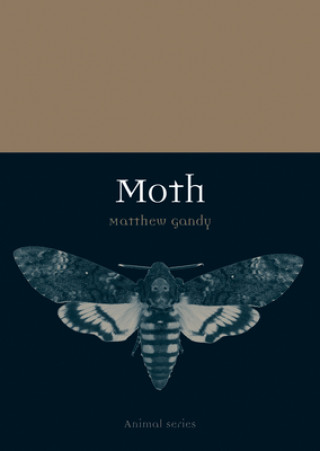 Kniha Moth Matthew Gandy