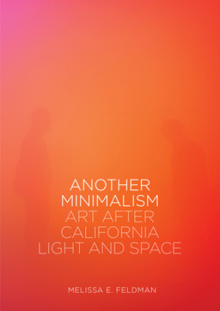 Book Another Minimalism Melissa E. Feldman