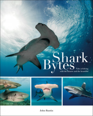 Knjiga Shark Bytes John Bantin