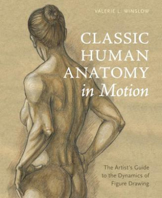 Книга Classic Human Anatomy in Motion Valerie L. Winslow