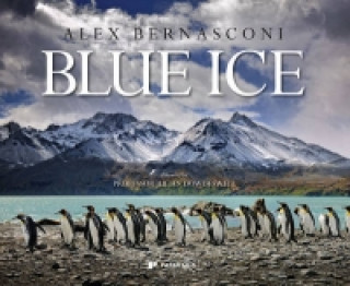 Buch Blue Ice Alex Bernasconi