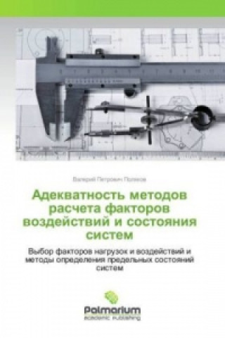 Carte Adekvatnost' metodov rascheta faktorov vozdejstvij i sostoyaniya sistem Valerij Petrovich Polyakov