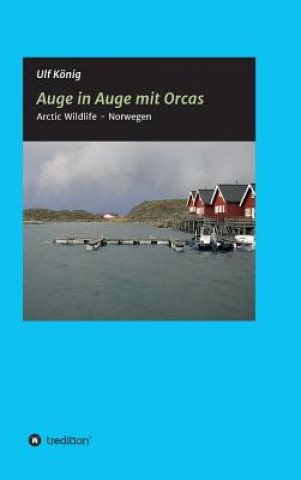 Carte Auge in Auge mit Orcas Ulf Konig