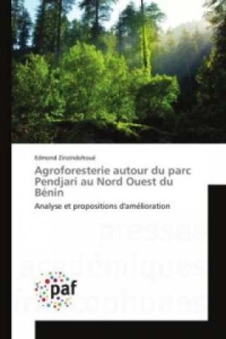 Carte Agroforesterie autour du parc Pendjari au Nord Ouest du Bénin Edmond Zinzindohoué