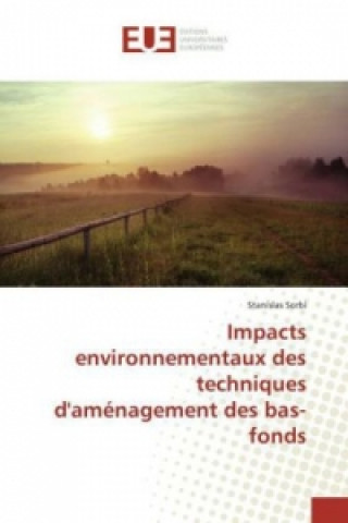 Buch Impacts environnementaux des techniques d'aménagement des bas-fonds Stanislas Sorbi