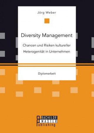 Kniha Diversity Management Weber