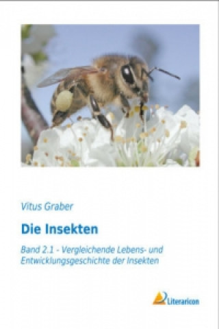 Kniha Die Insekten Vitus Graber