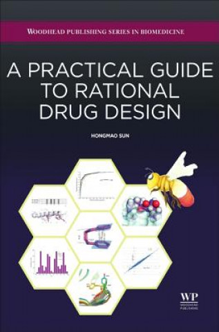 Książka Practical Guide to Rational Drug Design Sun Hongmao