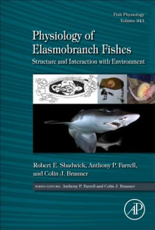 Könyv Physiology of Elasmobranch Fishes: Structure and Interaction with Environment Robert Shadwick