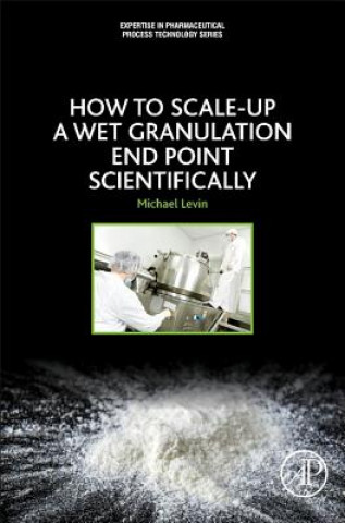 Buch How to Scale-Up a Wet Granulation End Point Scientifically Michael Levin