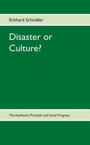 Книга Disaster or Culture? Eckhard Schindler