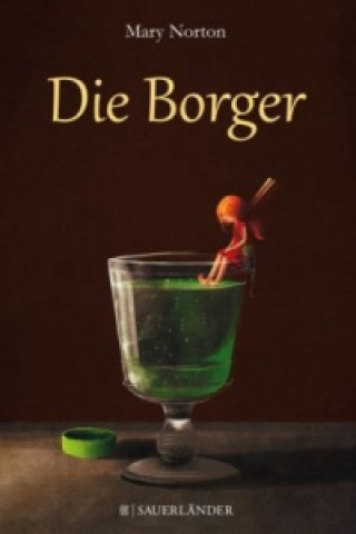 Kniha Die Borger Mary Norton