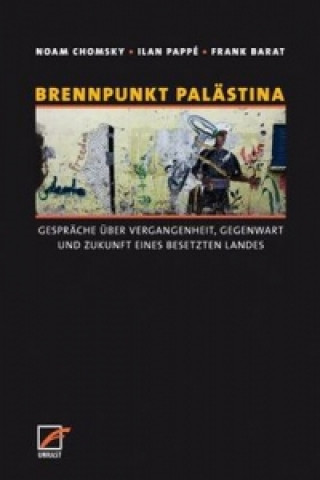 Kniha Brennpunkt Palästina Noam Chomsky