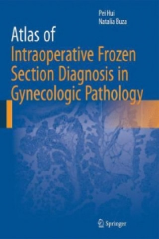 Книга Atlas of Intraoperative Frozen Section Diagnosis in Gynecologic Pathology Pei Hui