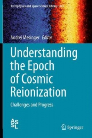 Kniha Understanding the Epoch of Cosmic Reionization Andrei Mesinger