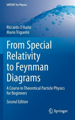 Kniha From Special Relativity to Feynman Diagrams Riccardo D'Auria