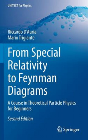 Knjiga From Special Relativity to Feynman Diagrams Riccardo D'Auria