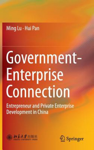 Книга Government-Enterprise Connection Ming Lu