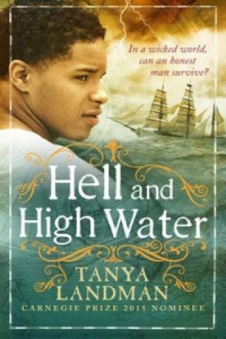 Boek Hell and High Water Tanya Landman