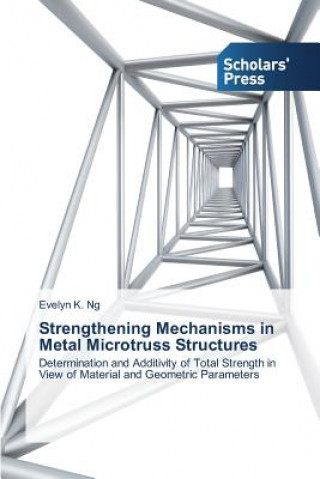 Kniha Strengthening Mechanisms in Metal Microtruss Structures Ng Evelyn K