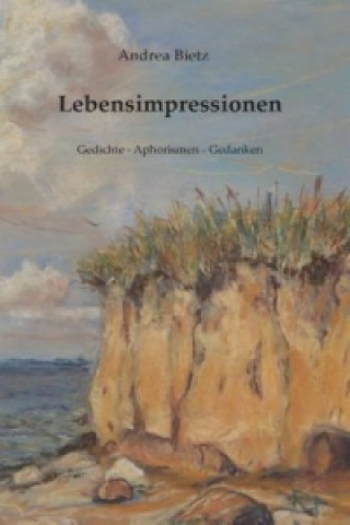 Buch Lebensimpressionen Andrea Bietz