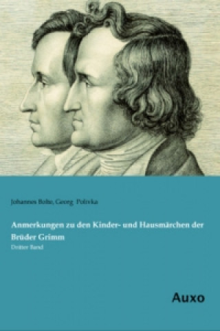 Книга Anmerkungen zu den Kinder- und Hausmärchen der Brüder Grimm Johannes Bolte