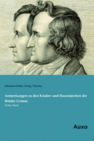 Kniha Anmerkungen zu den Kinder- und Hausmärchen der Brüder Grimm Johannes Bolte