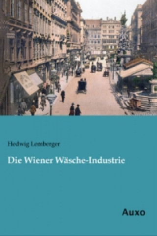 Kniha Die Wiener Wäsche-Industrie Hedwig Lemberger
