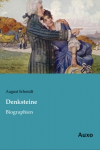 Kniha Denksteine August Schmidt