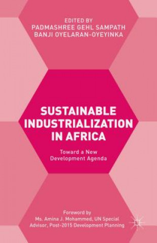 Knjiga Sustainable Industrialization in Africa Banji Oyelaran-Oyeyinka