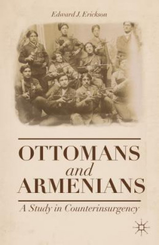 Kniha Ottomans and Armenians Edward J. Erickson