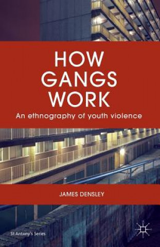 Kniha How Gangs Work Densley James