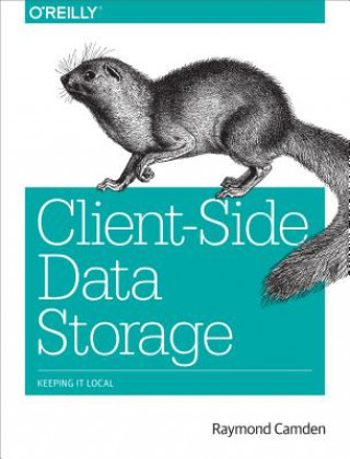 Libro Client-Side Data Storage Raymond Camden