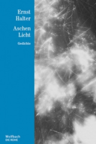 Kniha Aschen Licht Ernst Halter