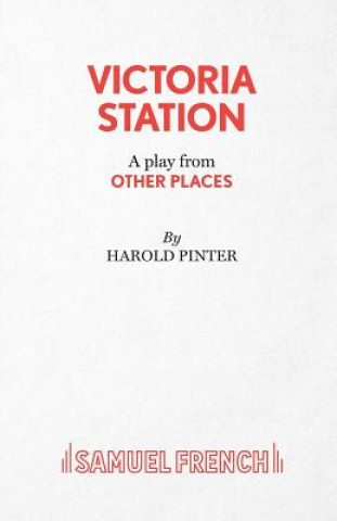 Könyv Other Places Harold Pinter