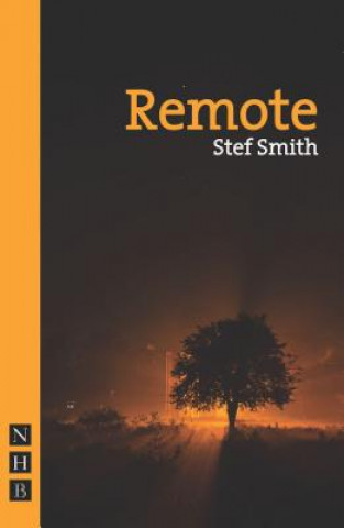 Kniha Remote Stef Smith