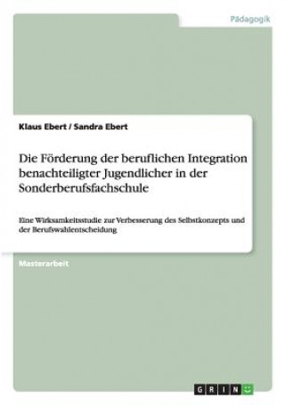 Kniha Foerderung der beruflichen Integration benachteiligter Jugendlicher in der Sonderberufsfachschule Klaus Ebert