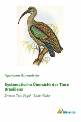 Książka Systematische Übersicht der Tiere Brasiliens Hermann Burmeister