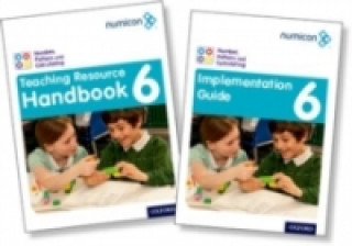 Carte Numicon: Geometry, Measurement and Statistics 6 Teaching Pack Tony Wing