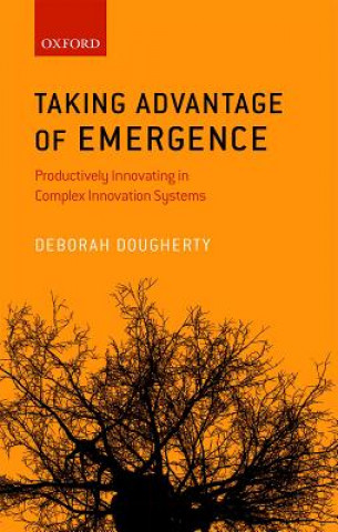 Buch Taking Advantage of Emergence Deborah Dougherty