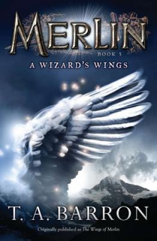 Kniha Wizard's Wings T A Barron
