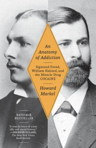 Kniha Anatomy of Addiction Howard Markel