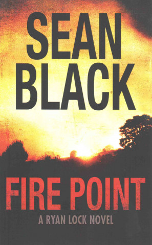 Kniha Fire Point Sean Black
